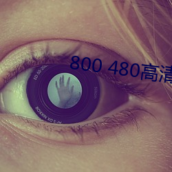 800 480高清(qīng)壁(bì)纸(zhǐ)