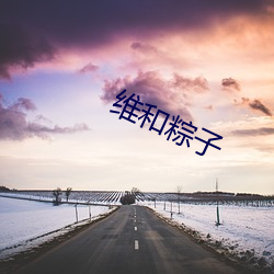 维和粽子
