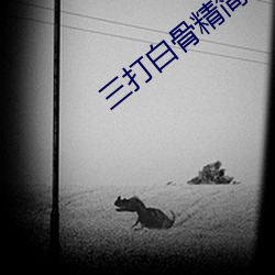 三打白骨精簡述30字