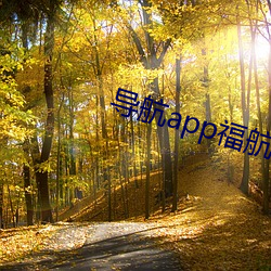 导航(háng)app福航拼多多