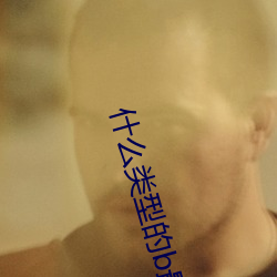 什么类型的b最好看