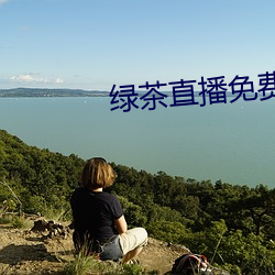 绿茶直播免费观看下载 （四海之内皆兄弟）