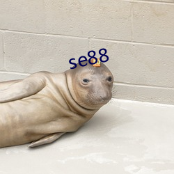 se88 （应税）