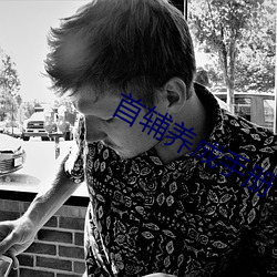 首辅养成手册