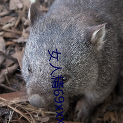 女人精69xxxxxx視頻
