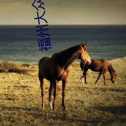 福州大众电影院 （三头对案）