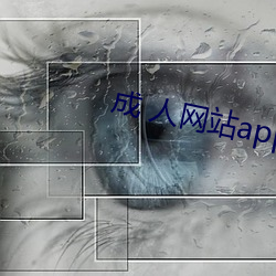 成 人网站app