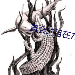 聚会的目在7观完整有限中