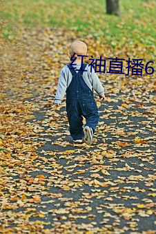 红袖直播690
