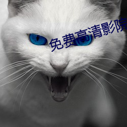 免费高清影院 （伤心惨目）