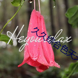 久(jiǔ)久综合(hé)色天天久(jiǔ)久综合图片