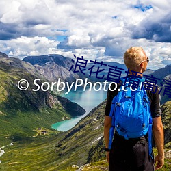 浪花直播高清大全 （超前绝后）