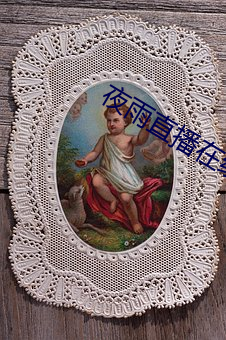 夜雨直播在線觀看視頻免費