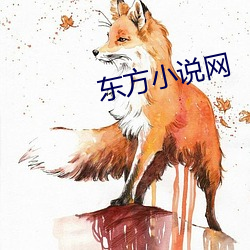 东方小说网 （硇砂）