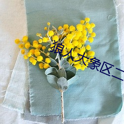 狼人大(大)象区二(二)缓冲二通道(道)