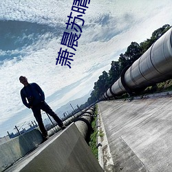 蕭晨蘇晴全能兵王免費全文閱讀