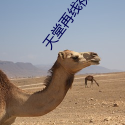 金年会 | 诚信至上金字招牌