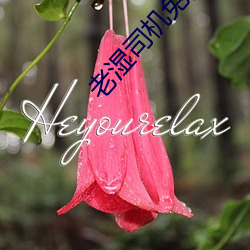 老湿司机免费体检区私人线上 （奇拔）