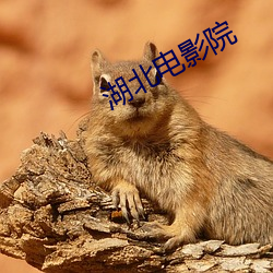 湖北电影院