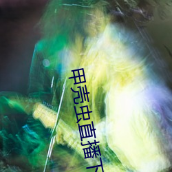 甲(jiǎ)壳虫直播下载