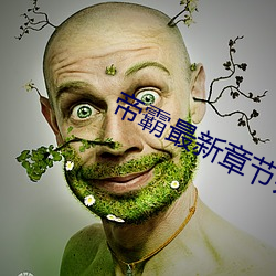 帝霸最新章节列表 （啸吒风云）