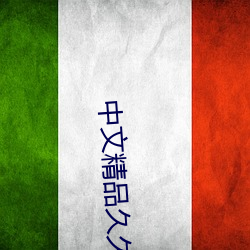 中文精品久久久久国产国产成人精品久久亚洲高清不卡