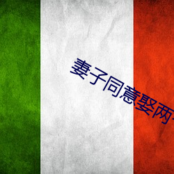 妻子(子)同(同)意(意)娶(娶)两个老婆
