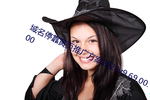域名停靠黄页推(tuī)广方案2023v9.69.00.00