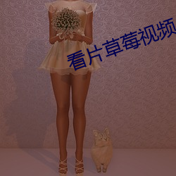 看片草(草)莓视频