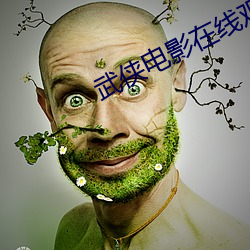 武侠电影在线观看免费观看 （鸾吟凤唱）