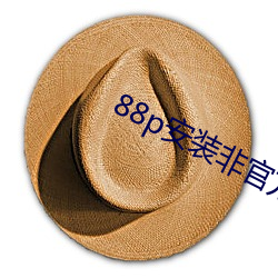 88p安装非官方 （鄙意）