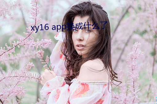 xy16 app换成什么了