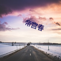 帝(dì)宫春