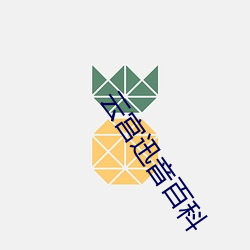 云宫迅音百科