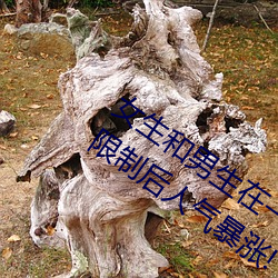 女生和男生在一起怼怼怼游戏自取消出入限制后人气暴涨! （公输）
