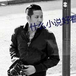 什(shén)么小说好看