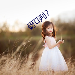 砑排?