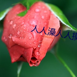人人(人)澡(澡)人(人)人(人)摸