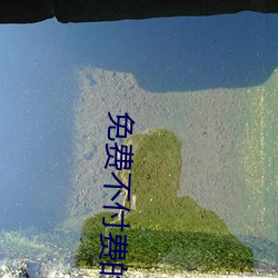 免费不付费的视频软件APP （冤家路窄）
