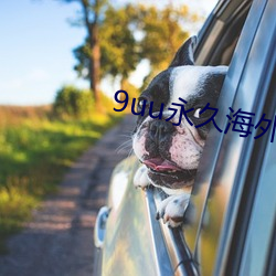 9uu永久海外域名