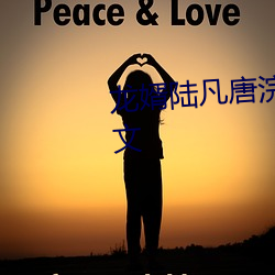 龍婿陸凡唐浣溪免費全文閱讀全文