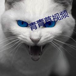 青青草视频