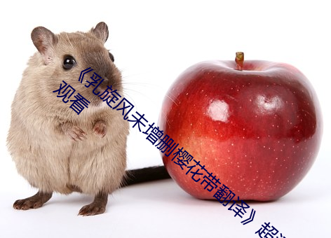 《乳旋风未增(增)删樱(櫻)花带翻(翻)译》超清免费在线观看(看)