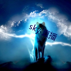 sky 直播