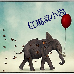 红高粱小说 （转子）