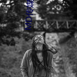 MD传媒免费(fèi)进入(rù)在线观(guān)看
