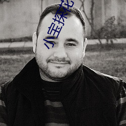 小宝探花在线