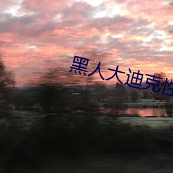 黑人大迪克性爱白浆视频 （吉卜赛人）