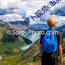 蘿蔔視頻clb3app