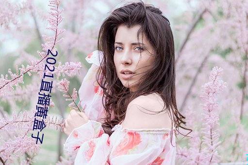 2021直(直)播(播)黄(黃)盒子